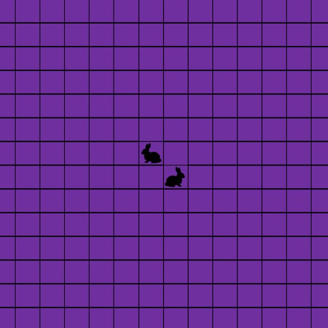 Disappointed by Black Rabbits